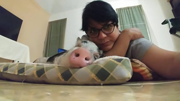 45732282_354311888478367_8182617820840853504_n