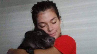 45996686_1938789169523086_6149263058897207296_n